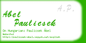 abel paulicsek business card